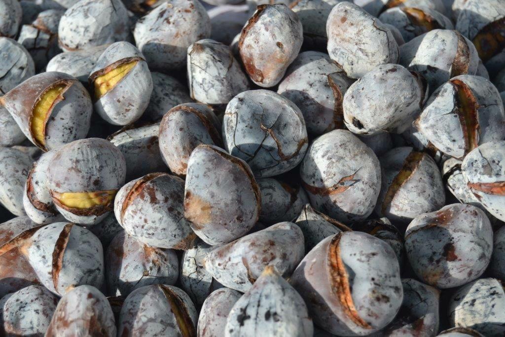 Inn Golegã المظهر الخارجي الصورة